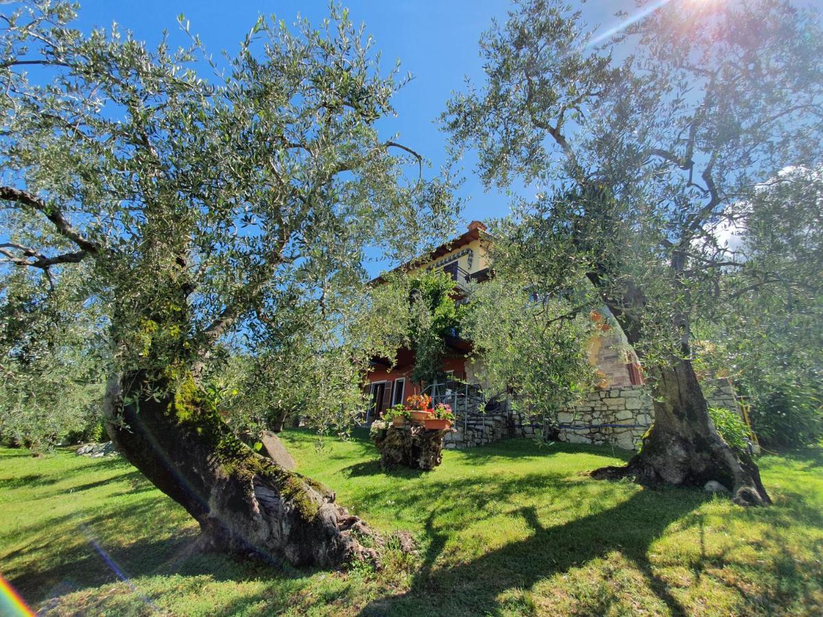 Апартаменты Casa Valenti Бренцоне-суль-Гарда Экстерьер фото