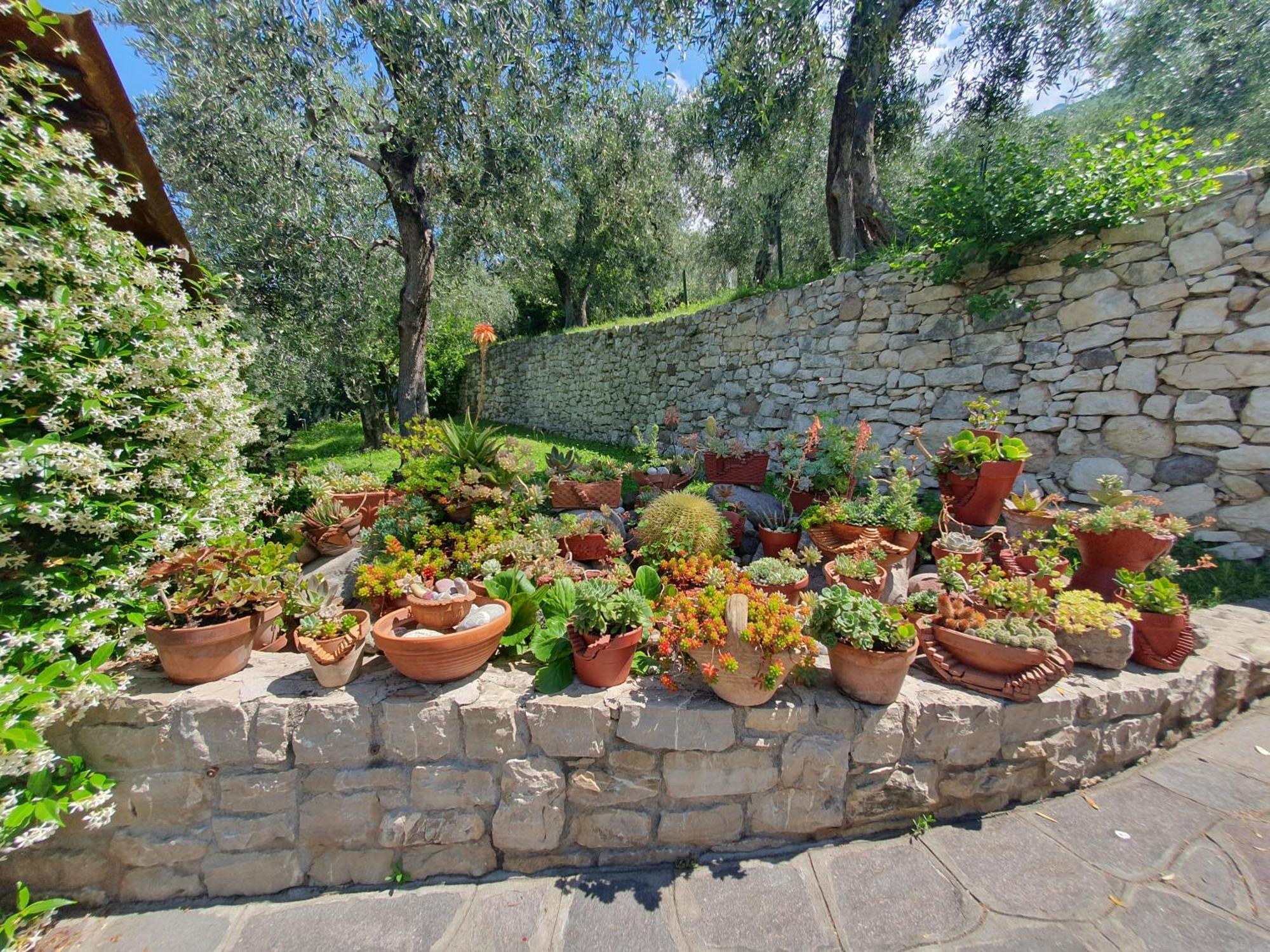 Апартаменты Casa Valenti Бренцоне-суль-Гарда Экстерьер фото